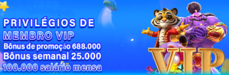 Segurança 5y5y SSL